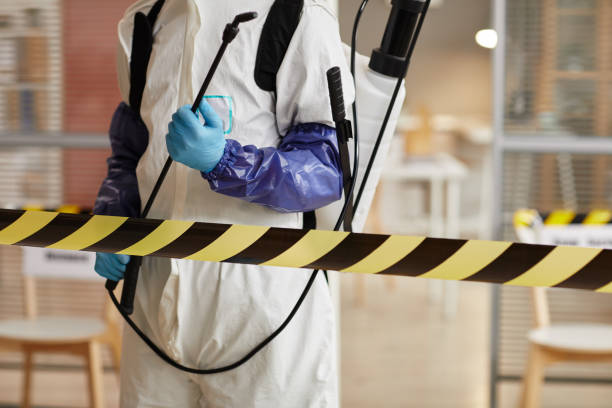 Professional Sewage Cleanup technician working in Edgewood, IN